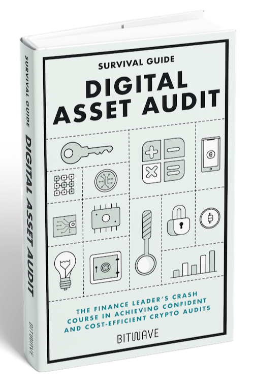 The Digital Asset Audit Survival Guide